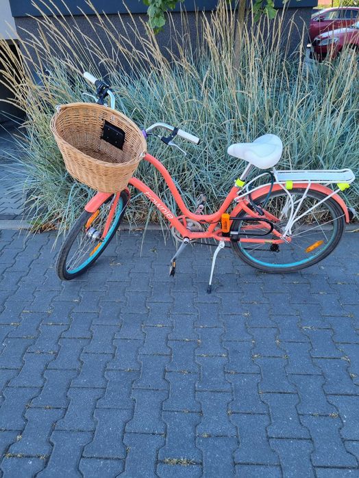 Rower Electra Townie 3i