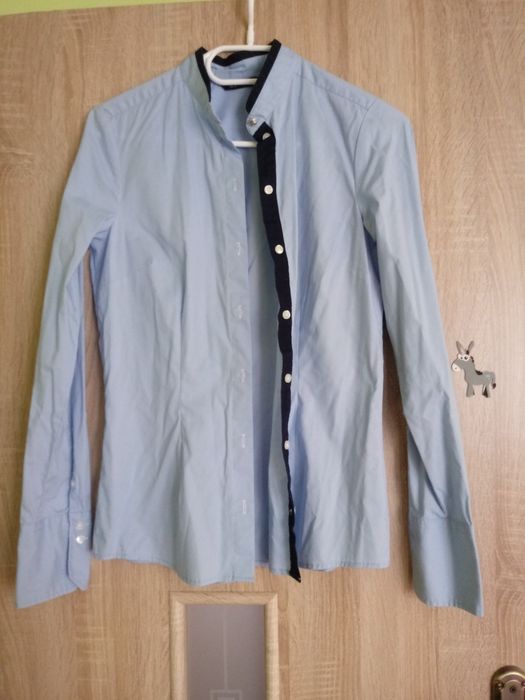 Koszula błękitna gładka