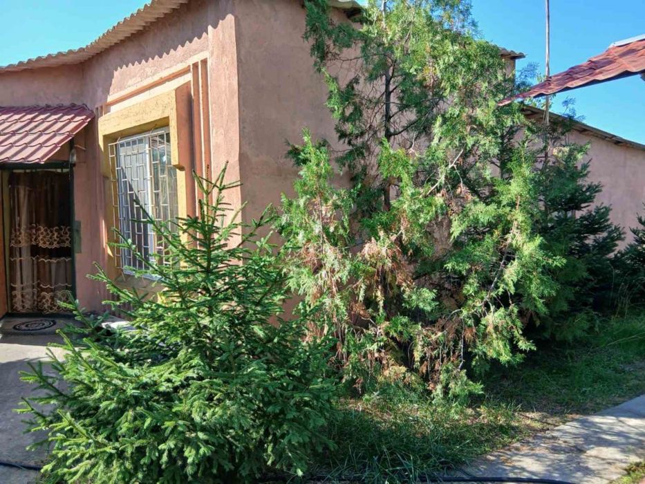 Загородный дом в Новой Одессе