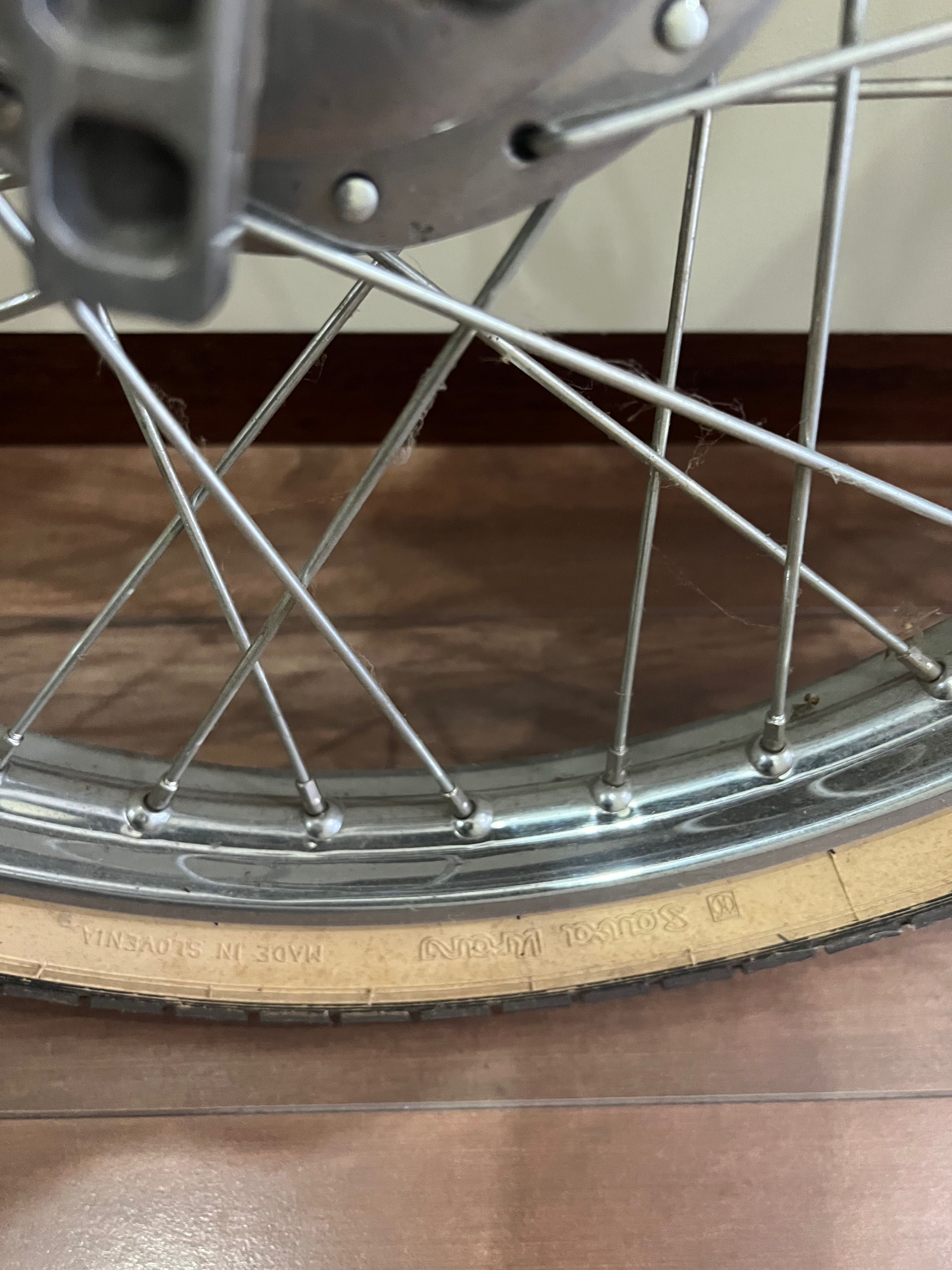 Rodas sachs minor