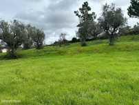 Lote de Terreno  Venda em Silgueiros,Viseu