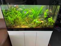 Kompletne akwarium Aquael Glossy 215L+ szafka + Unimax 250