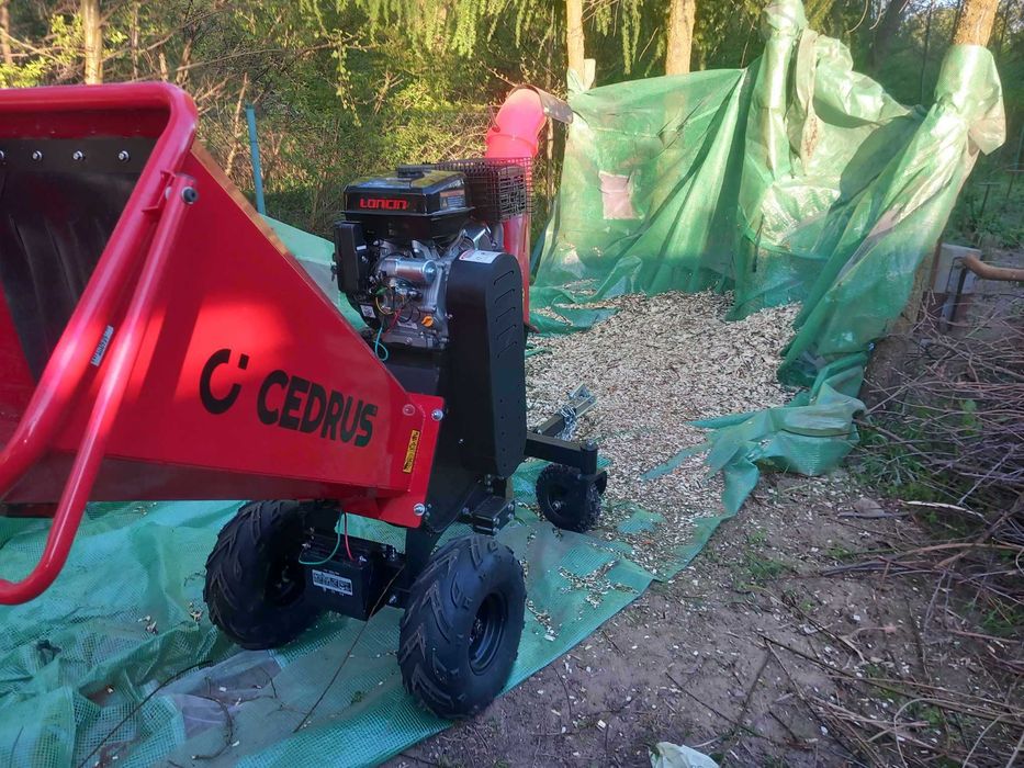 Usługi Rebakiem Cedrus RB04