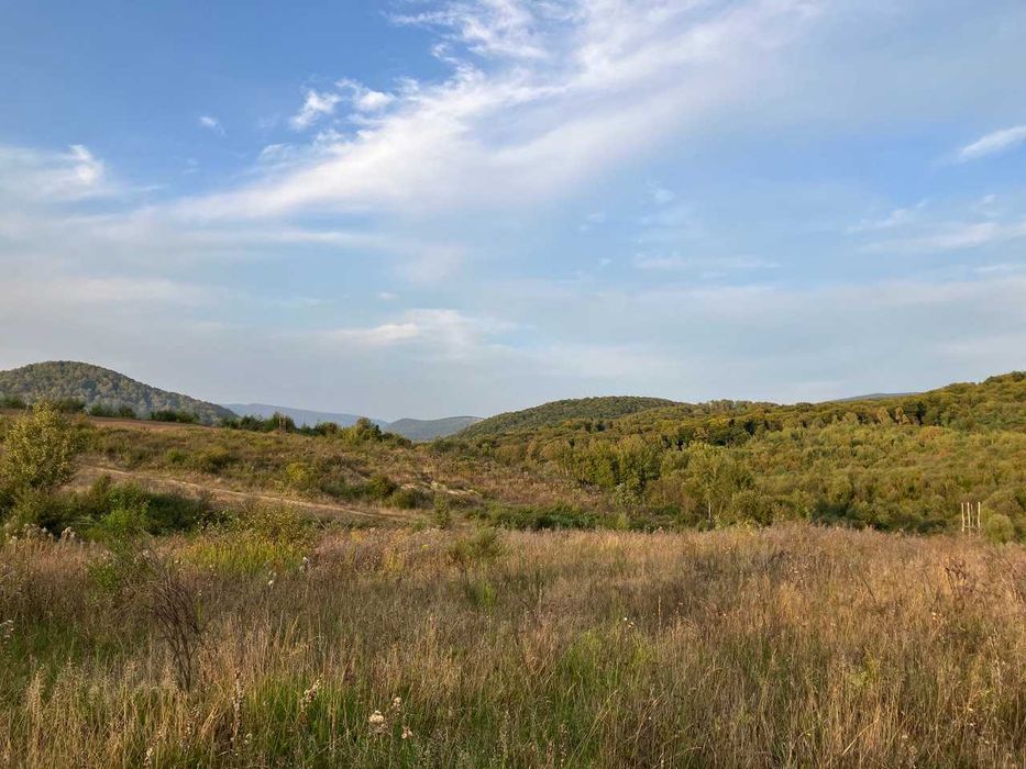 земельна ділянка осг 2га панорамна мукачево