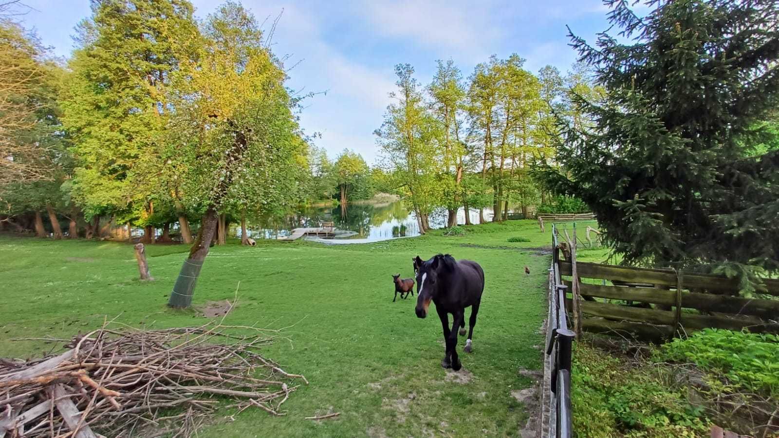 Agroturystyka Leśniczówka Puszcza Notecka