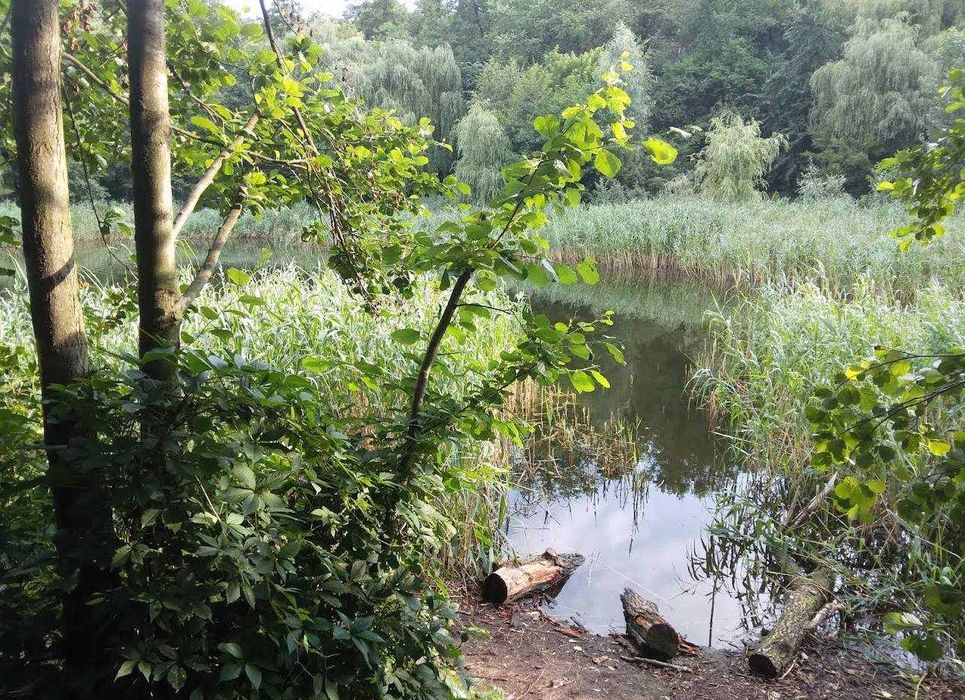 Продаж будинку біля лісу та озера, Бортничі, вул. Лісна 38