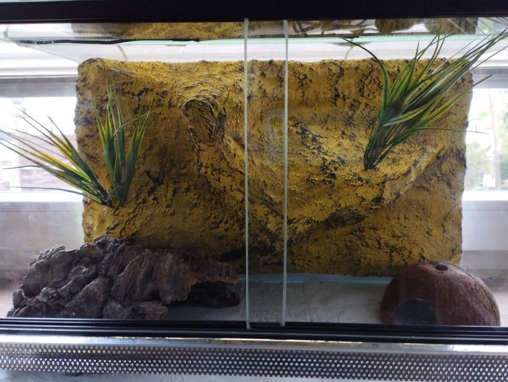 Terrarium 40*40*60 komplet dla np. gekona