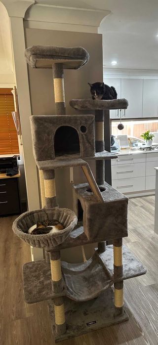 Drapak dla kota GIGANT nowy Wysoki 7 poziomów legowisko słupek domek