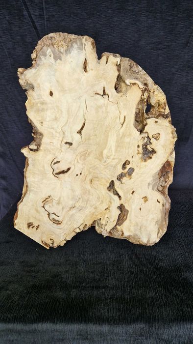 K10 54x32x4,5 czeczota monolit blat decha plaster żywica lite drzewo