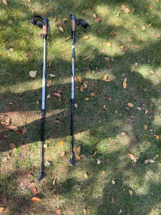 Палки для Скандинавской ходьбы
