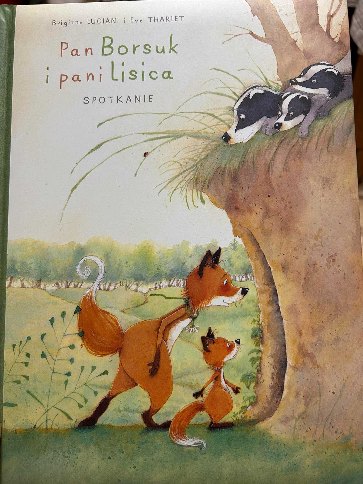 Komiks Pan Borsuk i Pani Lisica Spotkanie nowa książka