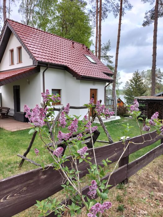 Domek nad jeziorem-Porost Apartament pod Dębem 42 m kw