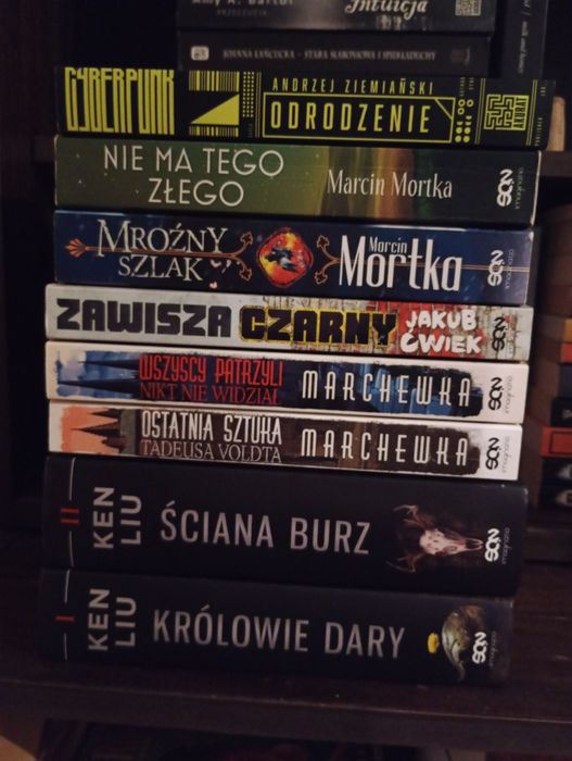 Kolekcja książek fantasy ponad 200 część 2 (aktualizacja)