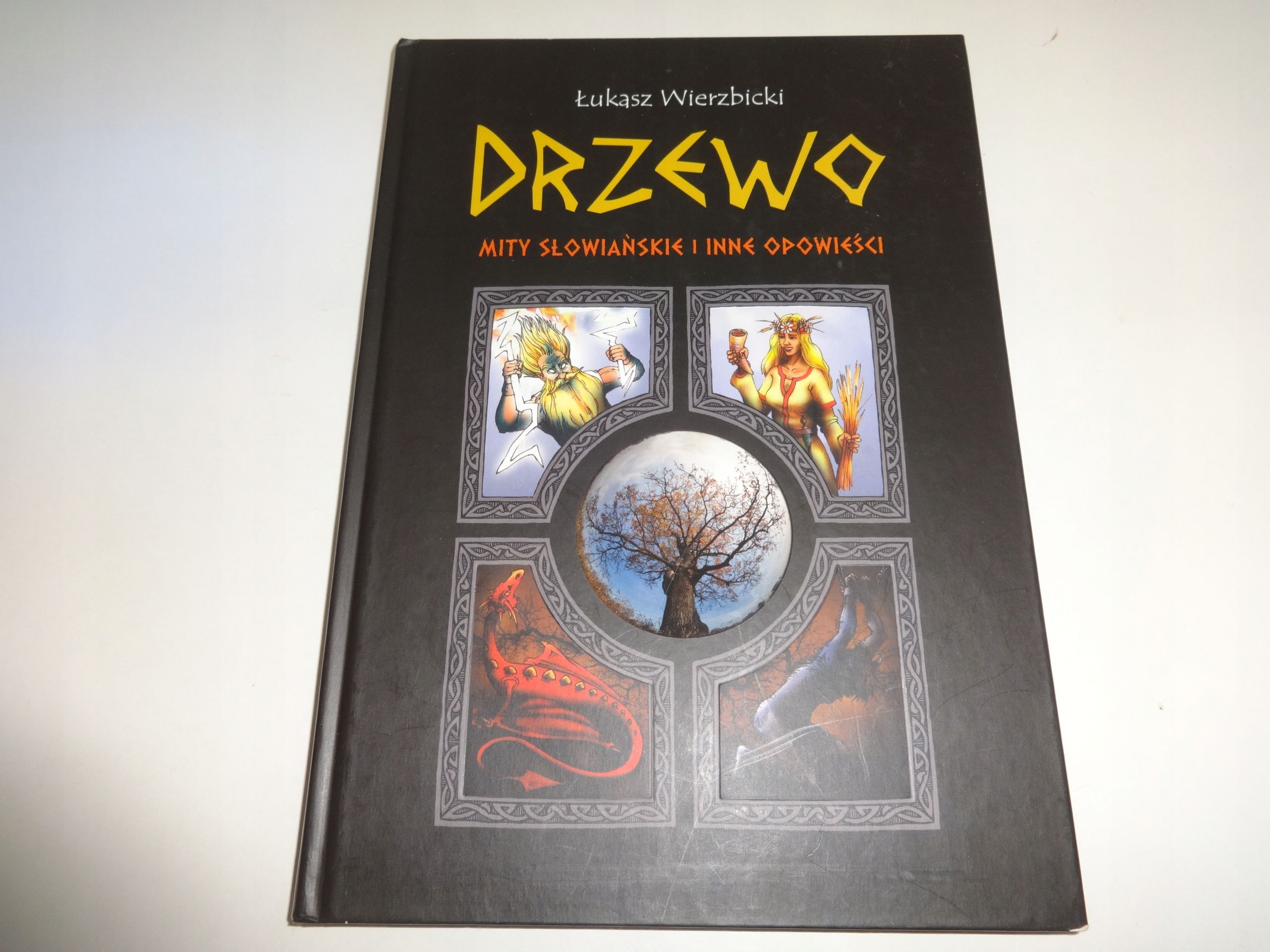 Drzewo Łukasz Wierzbicki