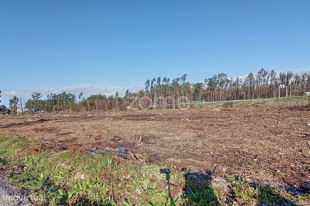 Terreno Industrial Com 20.000 M² Em Aveiro