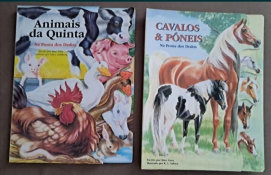 Vários livros didáticos e dinâmicos