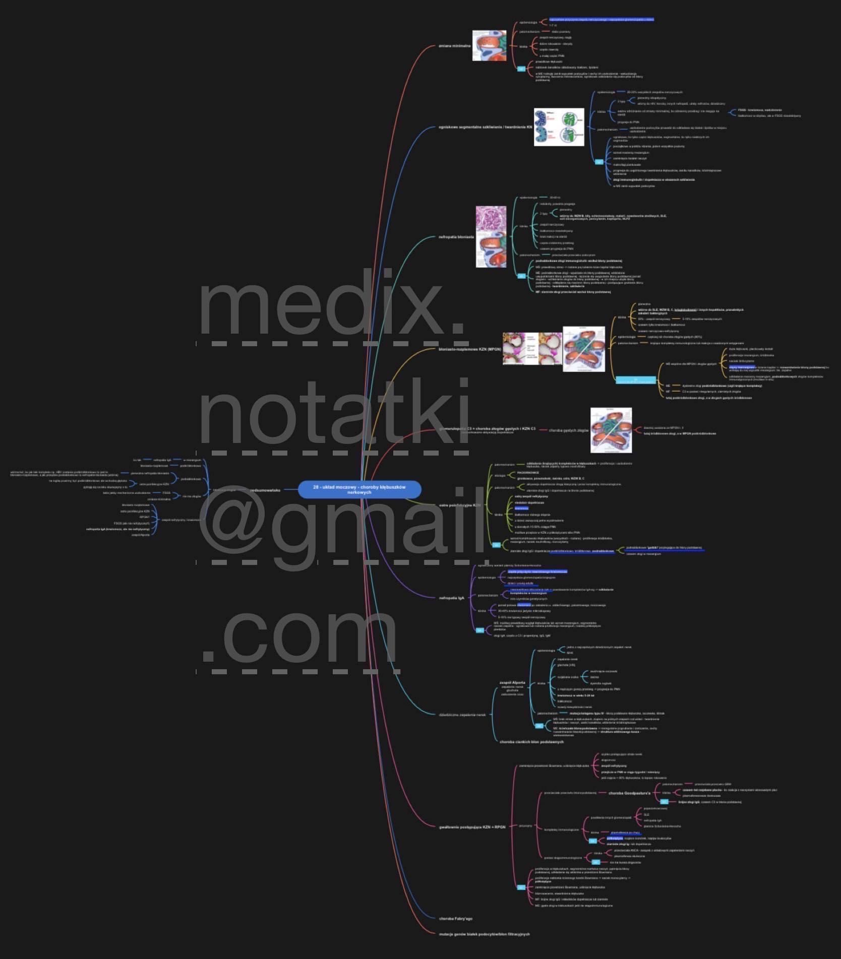 Medyczne mapy myśli; notatki na lekarski, biochemia, farmakologia inne