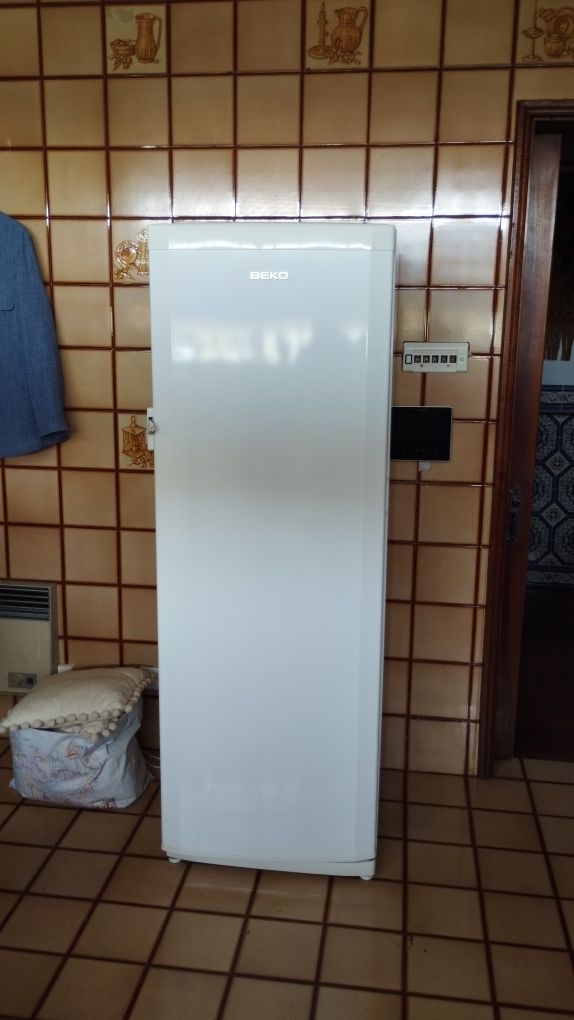 Frigorífico Beko SSE 27000 com 370 Litros de Capacidade