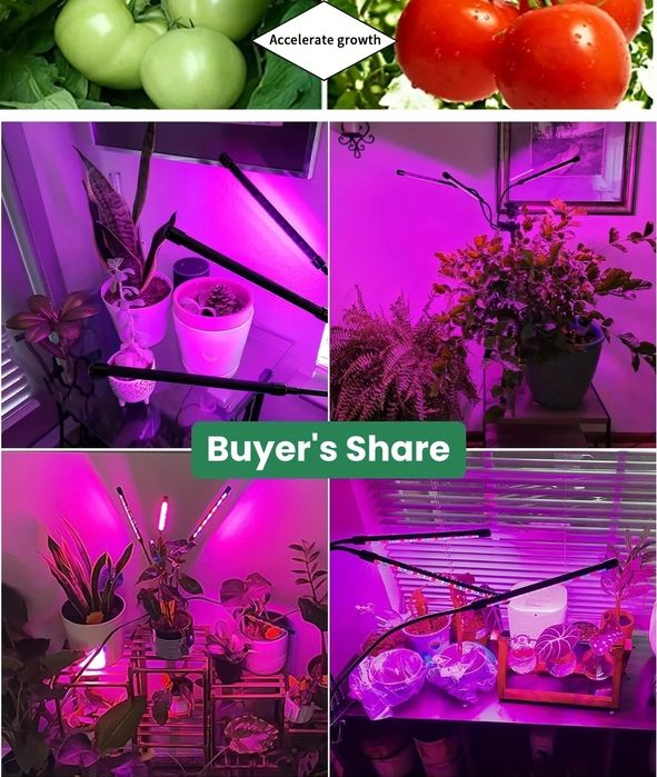 Lampa do wzrostu roślin idealna do uprawy w pomieszczeniach bez słońca