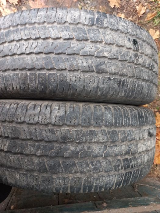 Шини різних розмірів