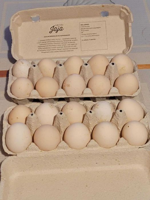 Jaja wiejskie od kur z wolnego wybiegu