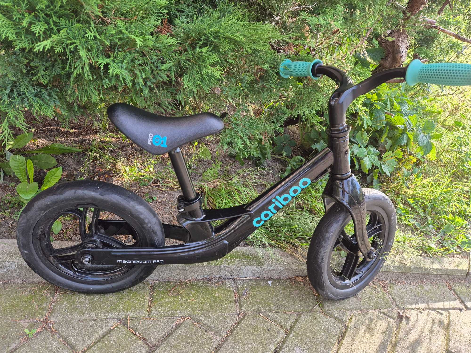 Rowerek biegowy Cariboo Magnesium Pro