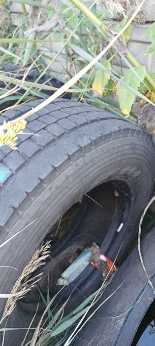 Opony Ciężarowe - 245  235 /17.5  oddam za darmo