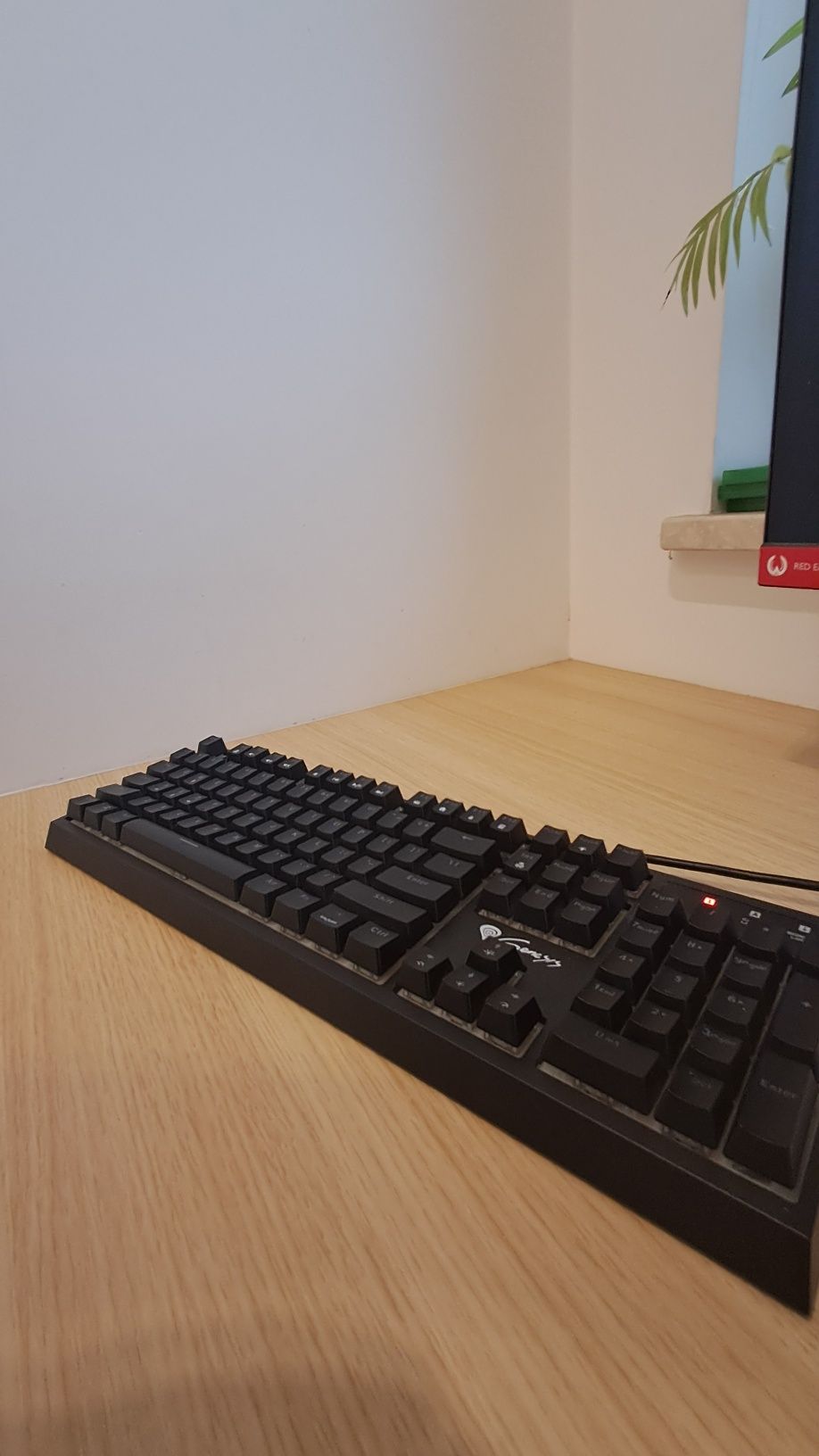 Klawiatura GENESIS THOR 210 RGB