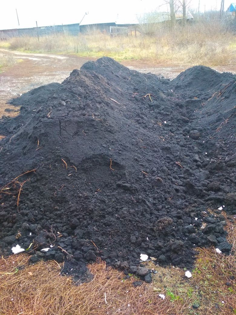 Сапропель озёрный минерализованый