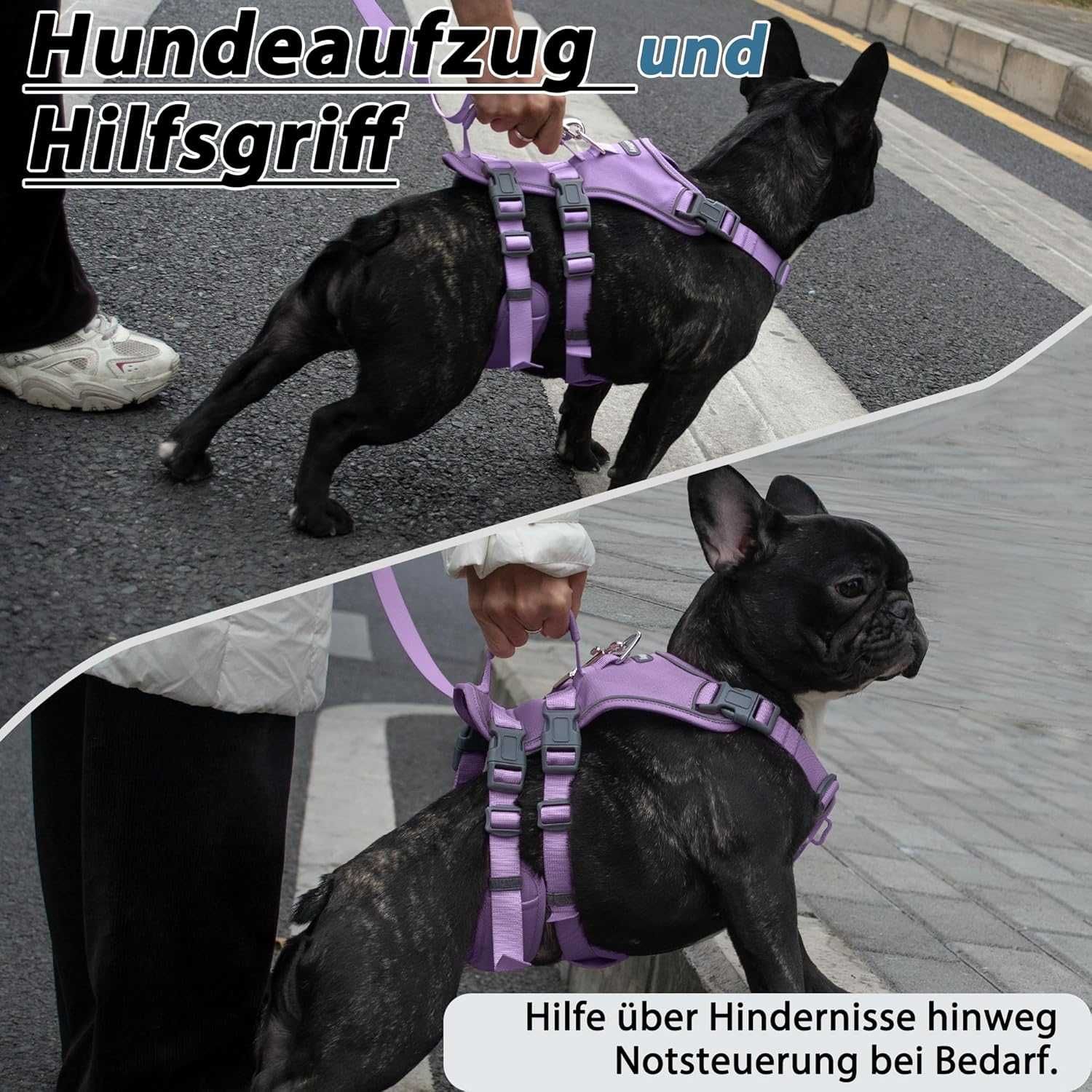 SZELKI r.S i smycz dla psa Z UCHWYTEM bezuciskowe liliowe WUFFLEY h060