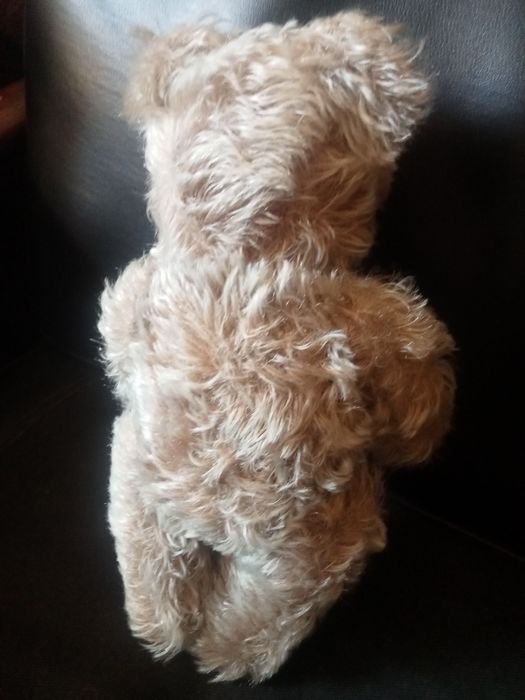 Miś Steiff trociniak twardy , z maszynka do mruczenia sprawna XXw 30cm