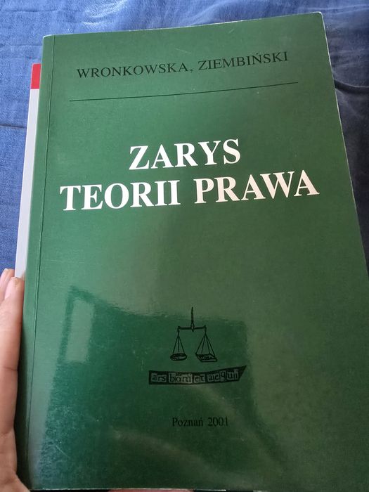 Zarys teorii prawa