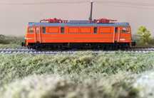EP08-010 Piko 96375 PKP świnka pomarańcza