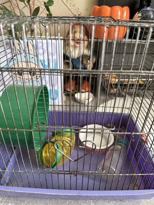 Клетка для хомяка 2