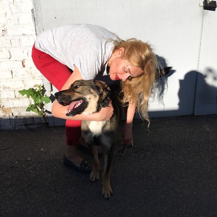 Жизнерадостный пёс Арчи ИЩЕТ ДОМ !