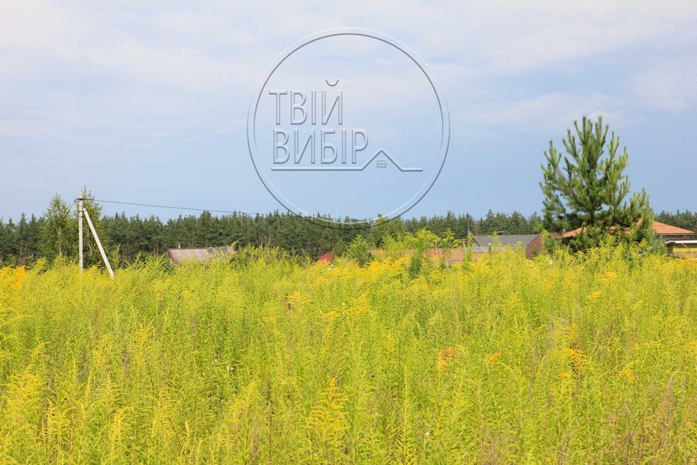 Продаж Ділянки Петрушки 10 соток