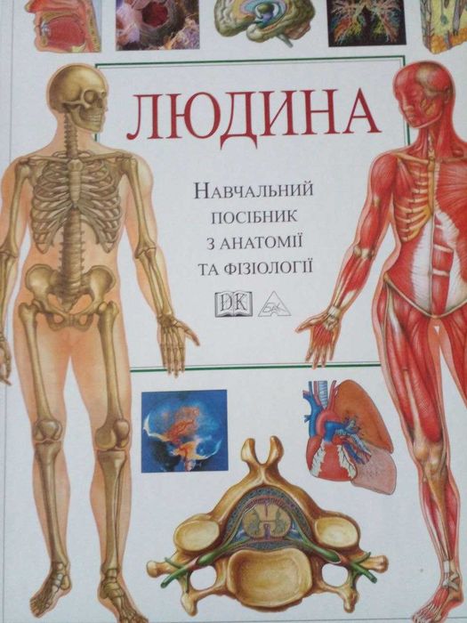 Людина навчальний посібник з анатомії та фізіології Dorling Kindersley