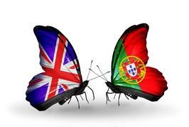 Traduções, Aulas e Explicações     Inglês / Todas as idades