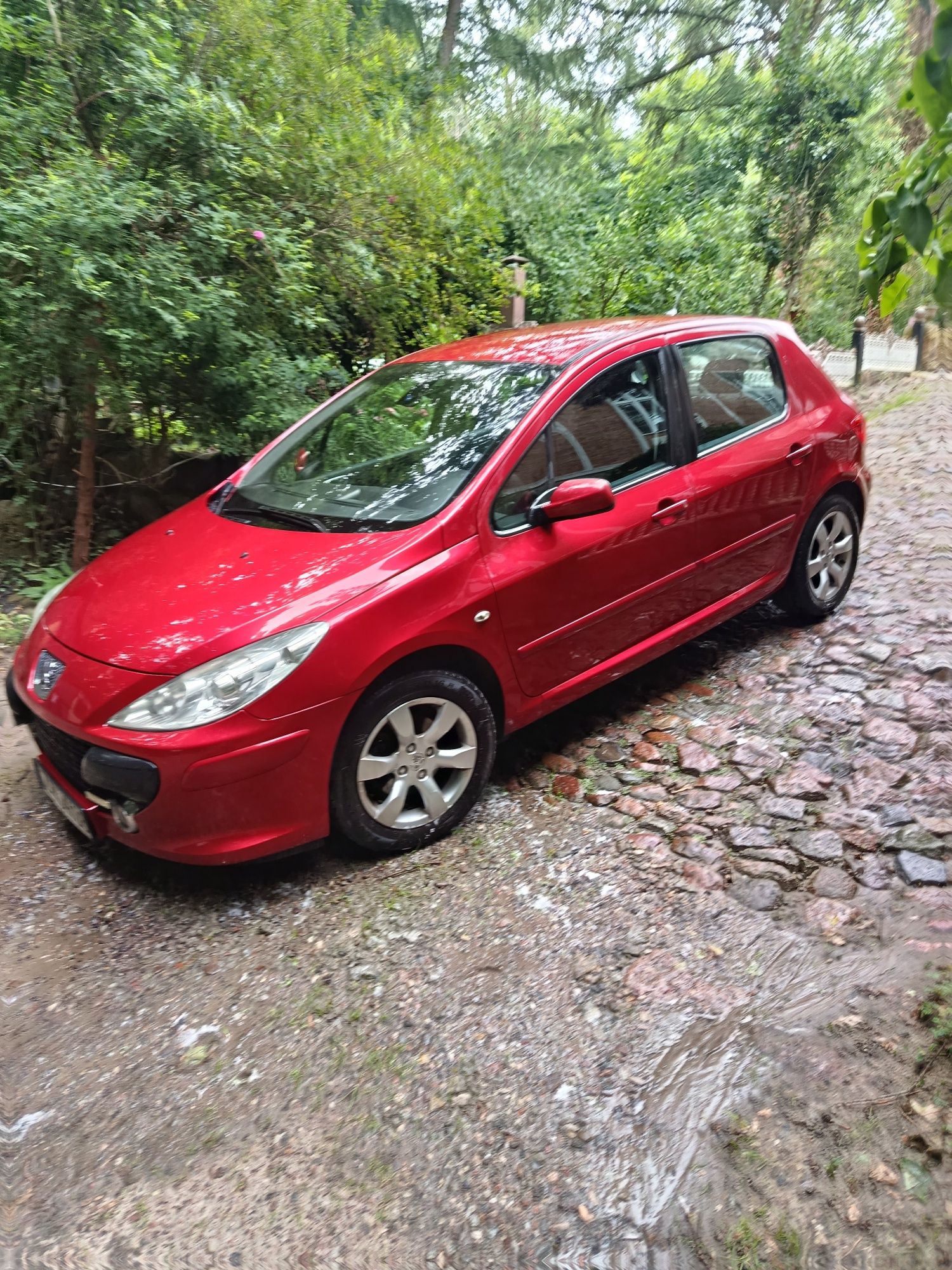 Peugeot 307 2.0 140km