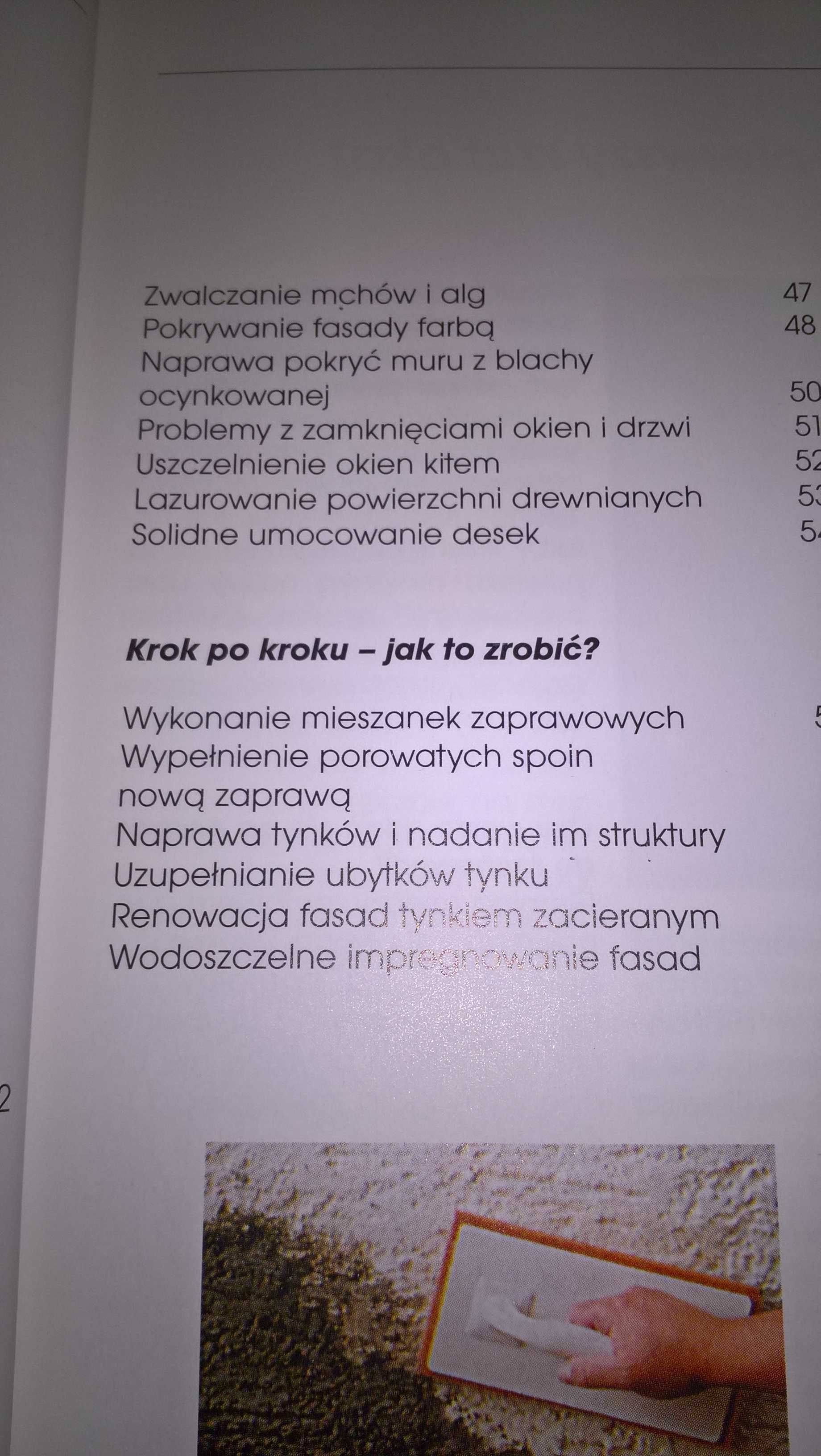 Sami odnawiamy fasady domów
Dietrich Engelhart, Max Direktor