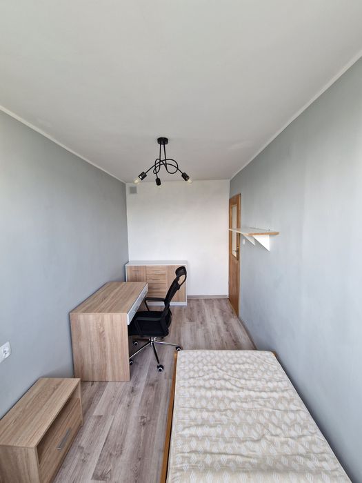 Pokój jednoosobowy w mieszkaniu 3 pokojowym przy UMK od zaraz