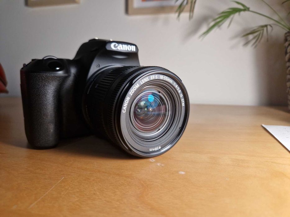 Canon EOS 250D + Canon EF-S 18-55mm f/4-5.6 IS STM