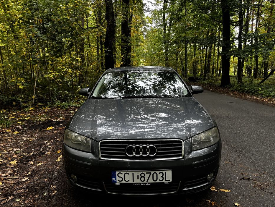 Audi A3 8p 1,6+Lpg