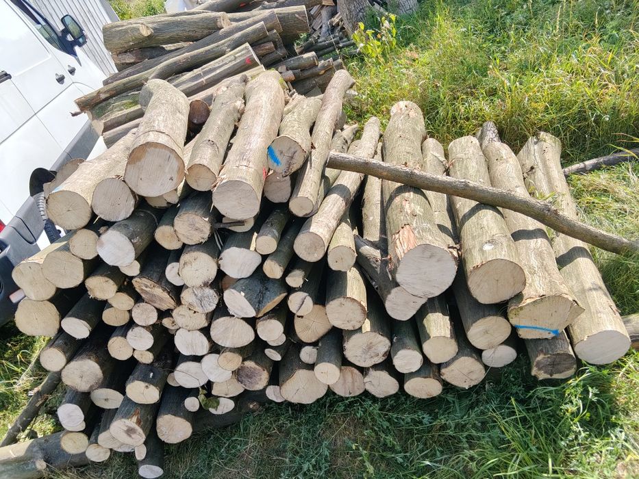 Drewno LIPOWE LIPA, DĄB / GRAB drewno kominkowe opałowe lisciaste