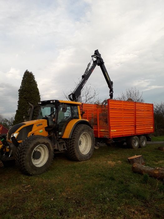 Wycinka i pielęgnacja drzew, przycinanie, korekta gałęzi