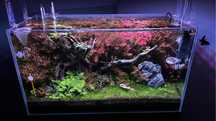 Zestaw akwariowy 128litrow opti white oase biomaster