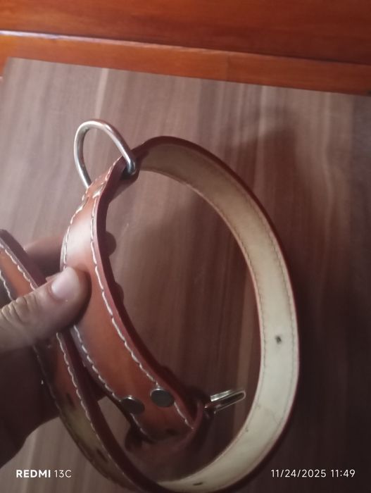 Coleira para cão - trela reforçada