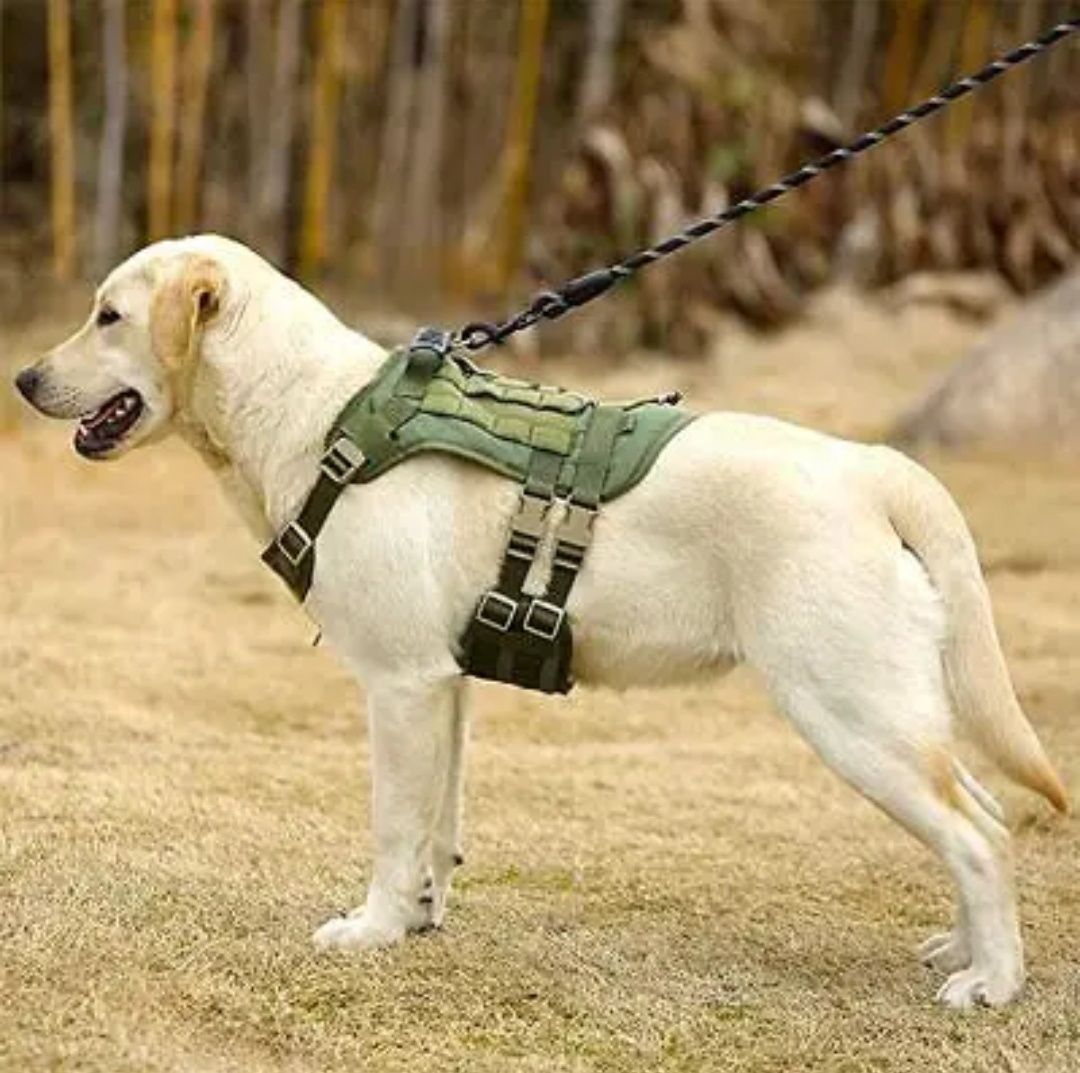 Szelki dla psa taktyczne Guard rozm. L kolor wojskowa zieleń