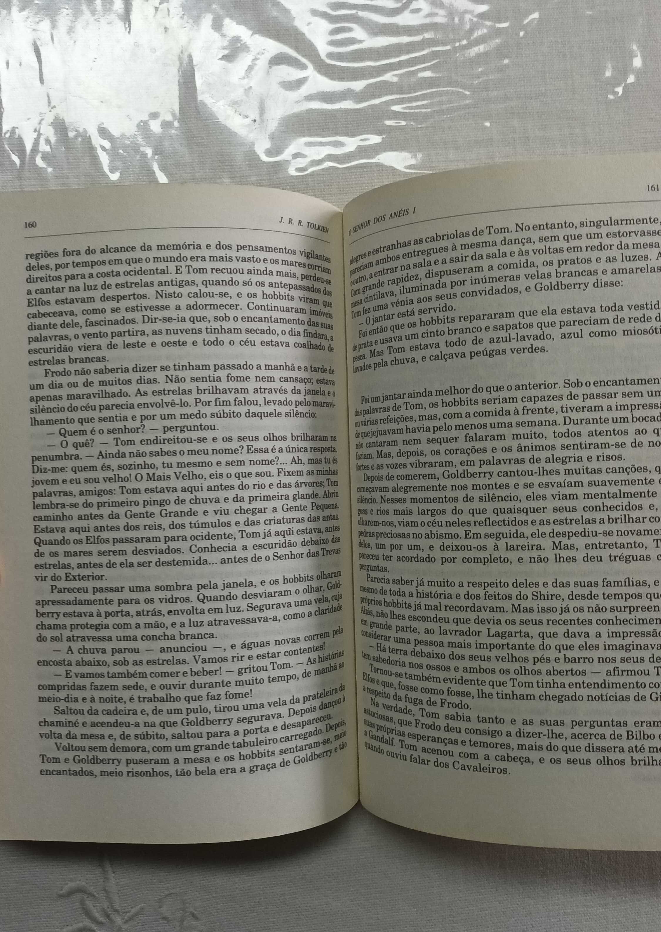 A Irmandade do Anel: O Senhor dos Anéis - Parte 1