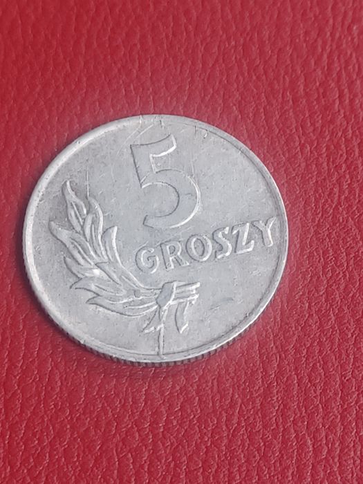 5 gr.rok 1949 Destrukt